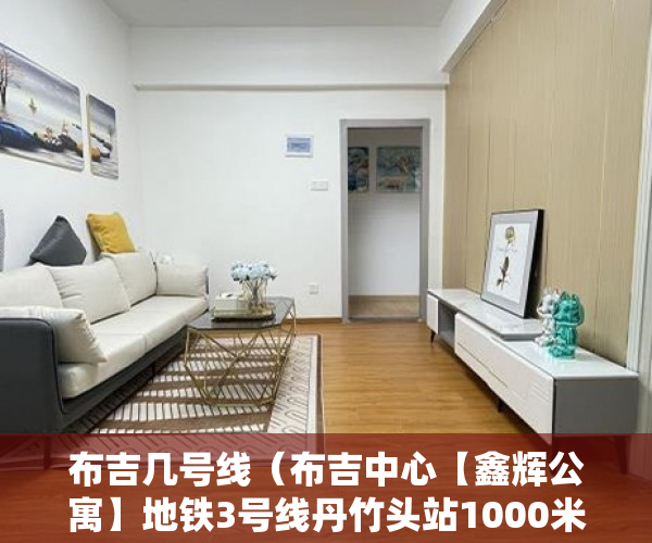 布吉几号线（布吉中心【鑫辉公寓】地铁3号线丹竹头站1000米 投资首选 ）买小产权房能住多久，
