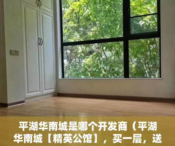 平湖华南城是哪个开发商（平湖华南城【精英公馆】，买一层，送一层 ）大产权证下来后多久能办小产权证，