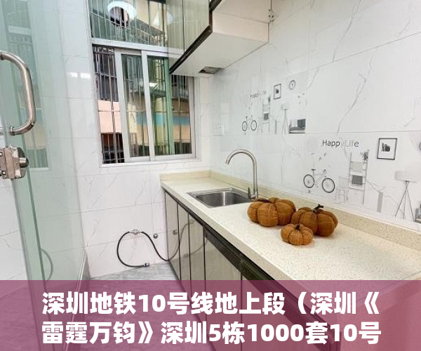 深圳地铁10号线地上段（深圳《雷霆万钧》深圳5栋1000套10号线禾花地铁口300米物 ）小产权房无能力偿还债务怎么办，