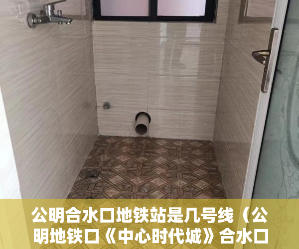 公明合水口地铁站是几号线（公明地铁口《中心时代城》合水口站；十三号线均在附近 ）多久能申请上小产权房，