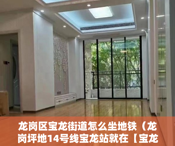 龙岗区宝龙街道怎么坐地铁（龙岗坪地14号线宝龙站就在【宝龙科苑】家门口 ）小产权办理大产权需要多久，