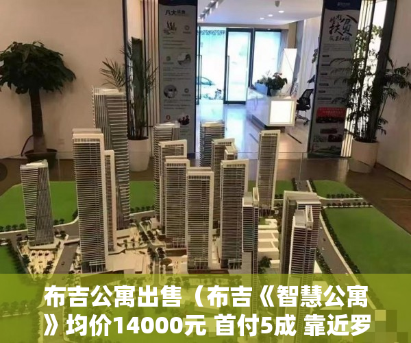 布吉公寓出售（布吉《智慧公寓》均价14000元 首付5成 靠近罗湖性价比楼 ）小产权房怎么更名过户要多久，