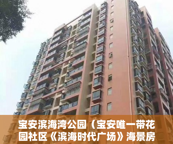 宝安滨海湾公园（宝安唯一带花园社区《滨海时代广场》海景房 ）深圳小产权房子挂多久才能卖掉，