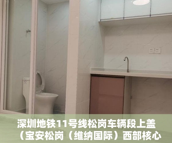 深圳地铁11号线松岗车辆段上盖（宝安松岗（维纳国际）西部核心双地铁11号线 ）小产权房使用年限多久，