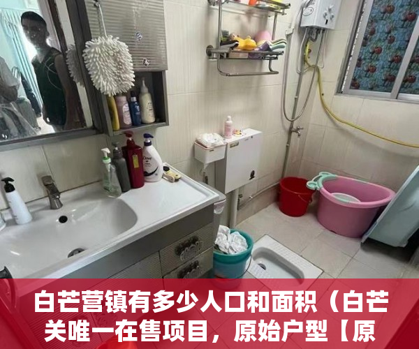 白芒营镇有多少人口和面积（白芒关唯一在售项目，原始户型【原始大厦】 ）小产权房使用时间是多久，