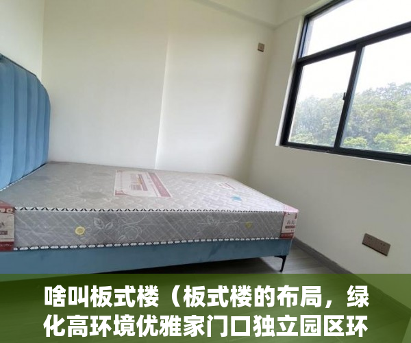 啥叫板式楼（板式楼的布局，绿化高环境优雅家门口独立园区环绕 ）小产权多久，