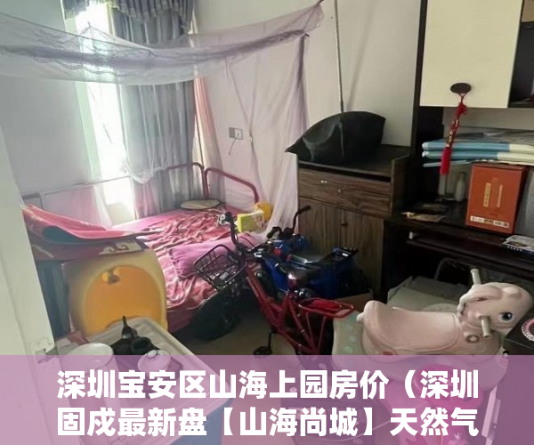 深圳宝安区山海上园房价（深圳固戍最新盘【山海尚城】天然气停车场房均价11万元 ）小产权变大产权需要多久，