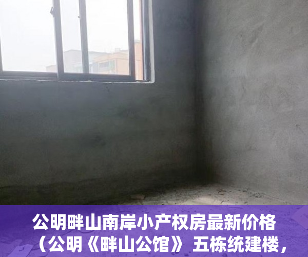 公明畔山南岸小产权房最新价格（公明《畔山公馆》 五栋统建楼，户户带豪装，豪华装修 ！ ）深圳小产权多久可以卖，