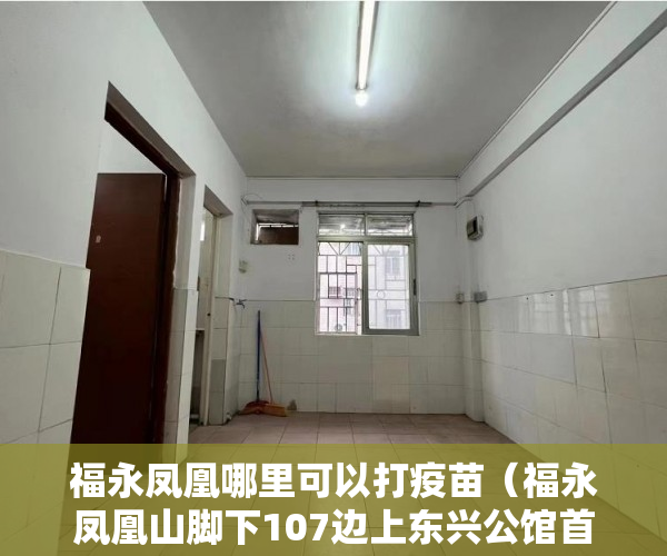 福永凤凰哪里可以打疫苗（福永凤凰山脚下107边上东兴公馆首付3--5成，无条件分期5 ）未来小产权房怎么卖，