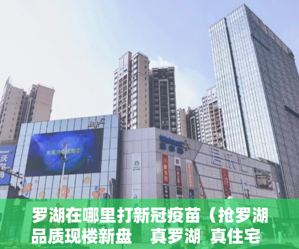罗湖在哪里打新冠疫苗（抢罗湖品质现楼新盘    真罗湖  真住宅  真湖区 ）小产权村委过户需要多久，