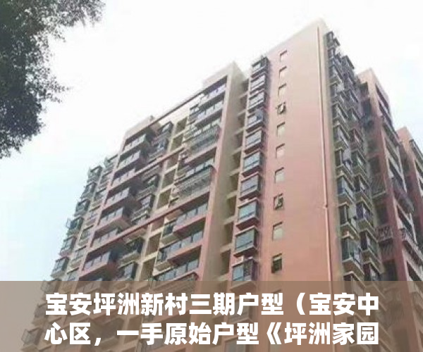 宝安坪洲新村三期户型（宝安中心区，一手原始户型《坪洲家园》时代城商场200米 ）小产权的房贷可以办多久的，