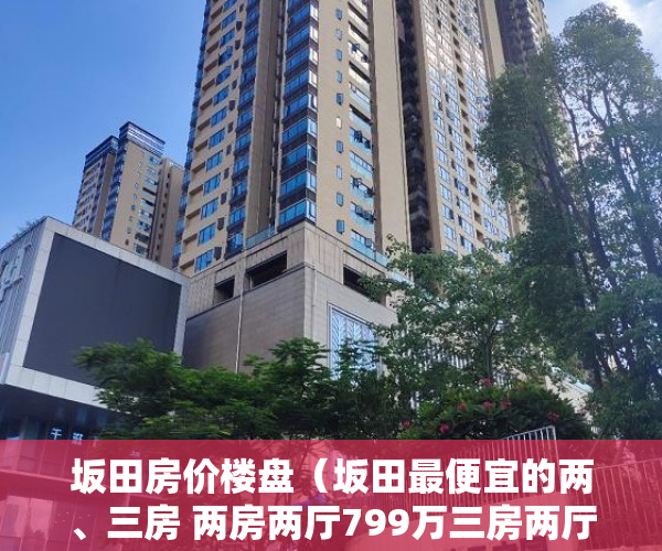 坂田房价楼盘（坂田最便宜的两、三房 两房两厅799万三房两厅986万 ）买小产权多久可以入住，