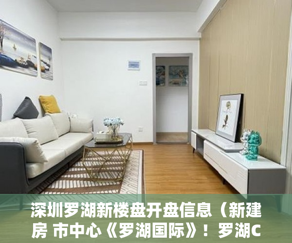 深圳罗湖新楼盘开盘信息（新建房 市中心《罗湖国际》！罗湖CBD！）买小产权房想退起诉的话得多久，