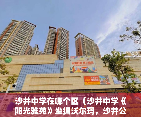 沙井中学在哪个区（沙井中学《阳光雅苑》坐拥沃尔玛，沙井公园，沙井公园 ）驿小产权房怎么样，