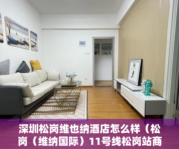 深圳松岗维也纳酒店怎么样（松岗（维纳国际）11号线松岗站商铺出售 ）小产权没有证怎么加名字，