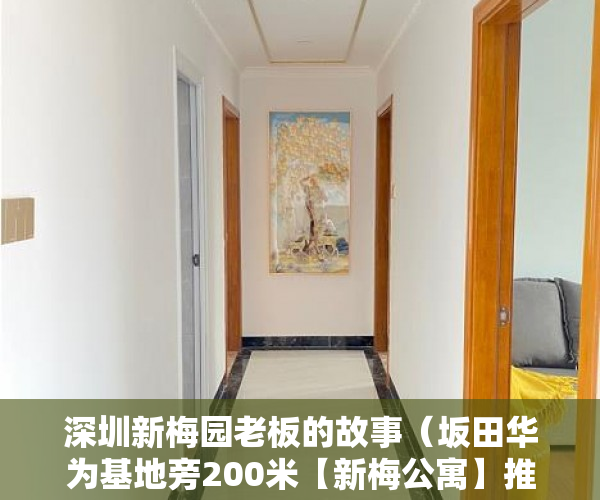 深圳新梅园老板的故事（坂田华为基地旁200米【新梅公寓】推出特价房698万 ）小产权继承换证多久办好，