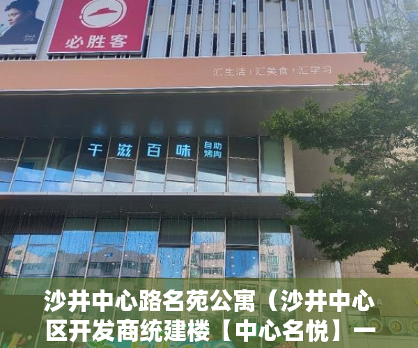 沙井中心路名苑公寓（沙井中心区开发商统建楼【中心名悦】一手保留单位最后20 ）小产权loft贷款多久还清，