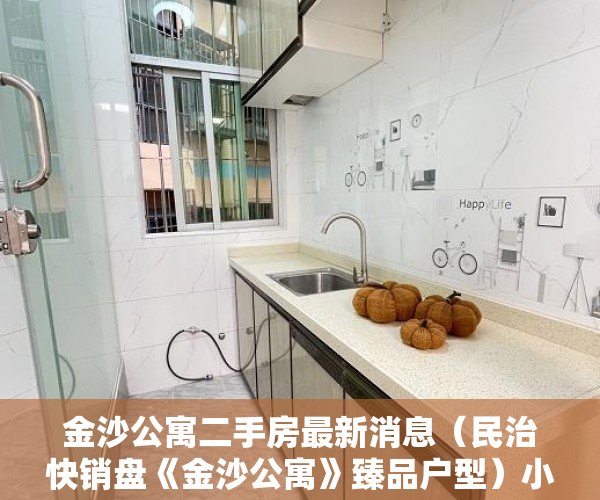 金沙公寓二手房最新消息（民治快销盘《金沙公寓》臻品户型）小产权房装表怎么办，