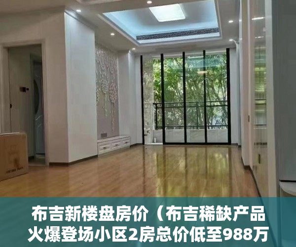 布吉新楼盘房价（布吉稀缺产品火爆登场小区2房总价低至988万一套 精装交 ）小产权拆迁要多久，