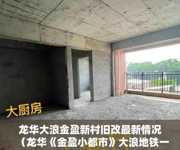 龙华大浪金盈新村旧改最新情况（龙华《金盈小都市》大浪地铁一房一厅首付 188万起 ）小产权怎么开发，