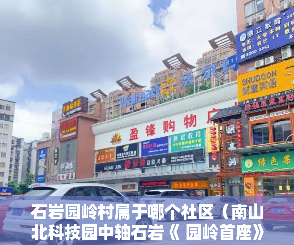 石岩园岭村属于哪个社区（南山北科技园中轴石岩《 园岭首座》刚需上车好机会 ）执行小产权房需要多久，