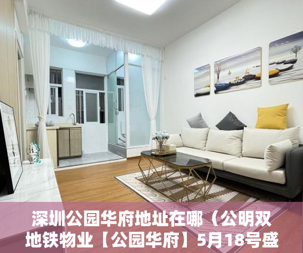 深圳公园华府地址在哪（公明双地铁物业【公园华府】5月18号盛大开盘！ ）小产权入手多久能卖，