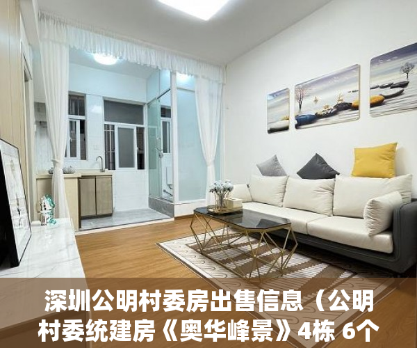 深圳公明村委房出售信息（公明村委统建房《奥华峰景》4栋 6个单元村委盖章 一手房 ）小产权房两人怎么相互制约，