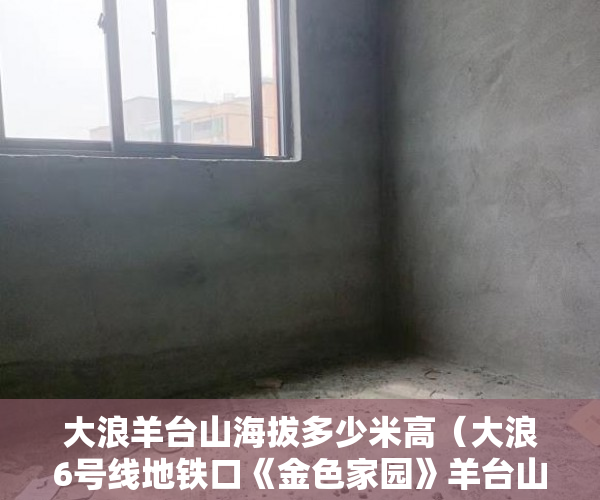 大浪羊台山海拔多少米高（大浪6号线地铁口《金色家园》羊台山森林公园458万套起 ）小产权分割商铺能用多久，