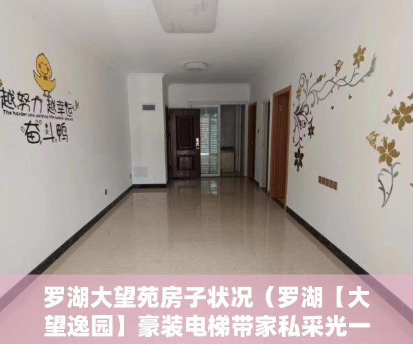 罗湖大望苑房子状况（罗湖【大望逸园】豪装电梯带家私采光一流，永久产权！ ）小产权变大产权多久满5年，