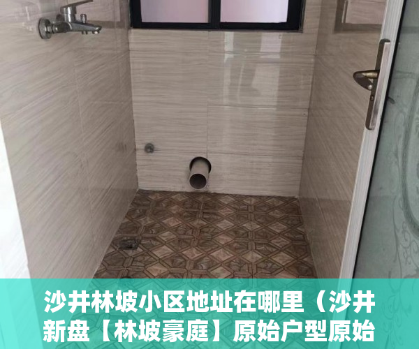 沙井林坡小区地址在哪里（沙井新盘【林坡豪庭】原始户型原始面积 ）村里有小产权怎么办，
