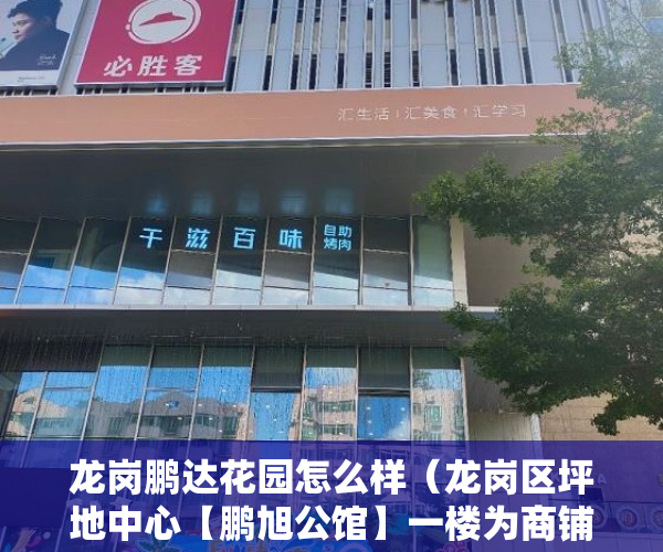 龙岗鹏达花园怎么样（龙岗区坪地中心【鹏旭公馆】一楼为商铺和入户大堂 ）小产权房分期能分多久，