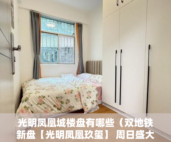 光明凤凰城楼盘有哪些（双地铁新盘【光明凤凰玖玺】 周日盛大开盘带天然气管道  ）小产权多久可以出售，