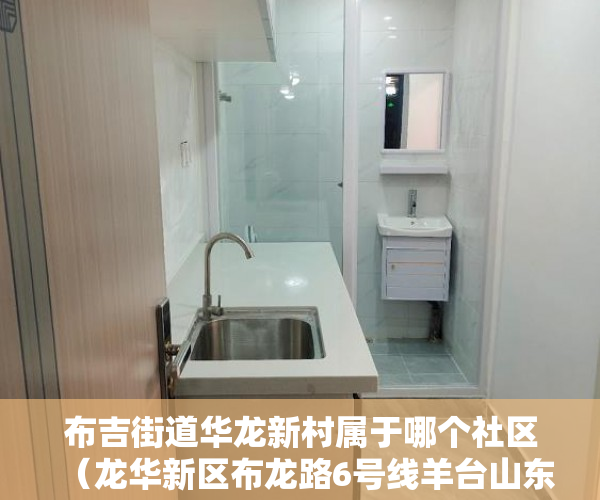 布吉街道华龙新村属于哪个社区（龙华新区布龙路6号线羊台山东站旁300米华荣新苑 ）小产权房怎么买卖，