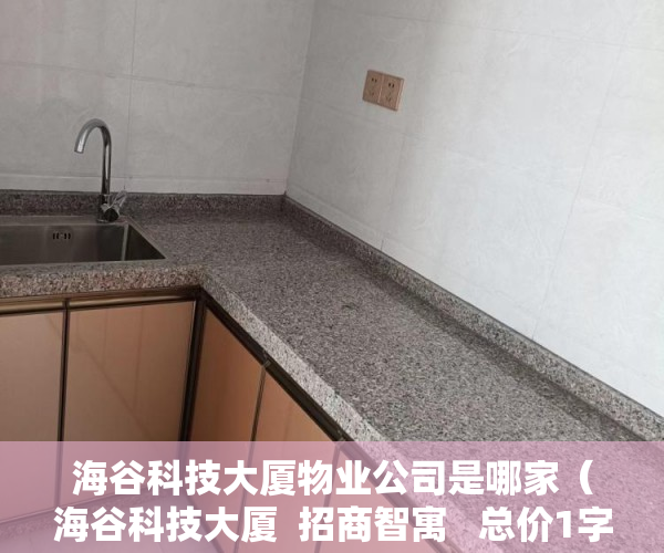 海谷科技大厦物业公司是哪家（海谷科技大厦  招商智寓   总价1字头起地铁口精智收藏 ）小产权的二手房交易需要多久，
