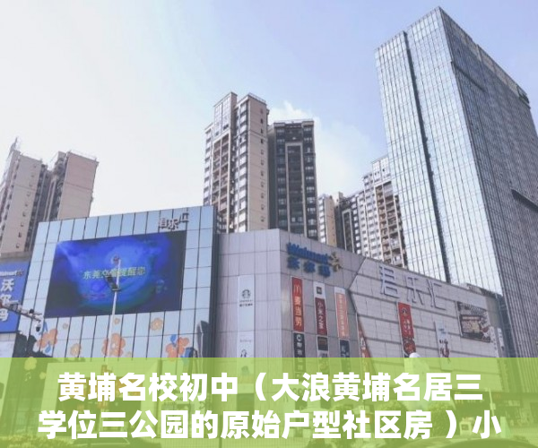 黄埔名校初中（大浪黄埔名居三学位三公园的原始户型社区房 ）小产权多久房产证吗，