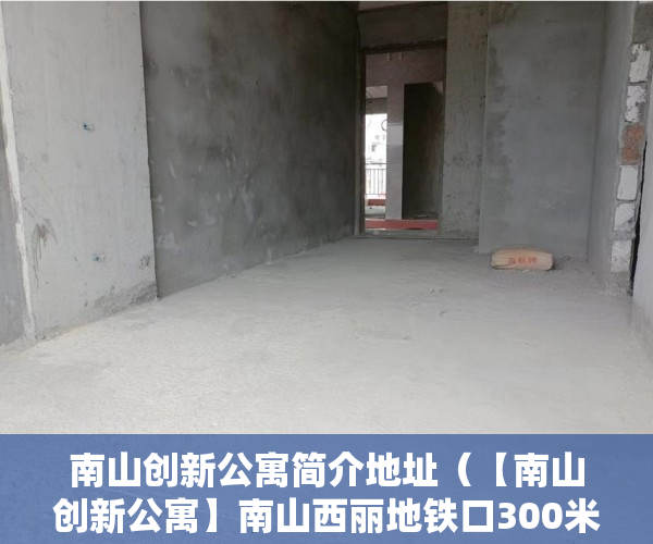 南山创新公寓简介地址（【南山创新公寓】南山西丽地铁口300米精装一房60万起 ）小产权房多久签合同，
