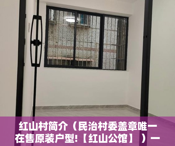 红山村简介（民治村委盖章唯一在售原装户型!【红山公馆】 ）一房两卖小产权房怎么办，