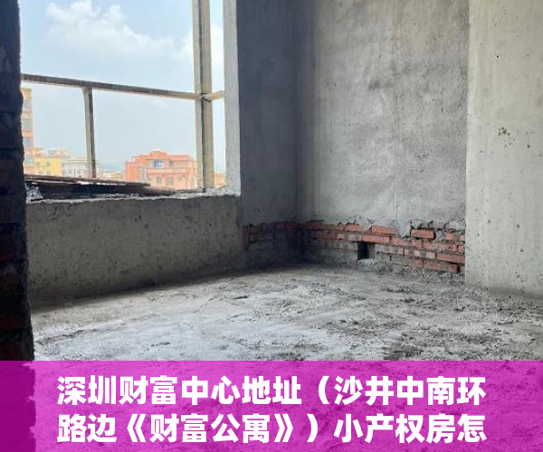 深圳财富中心地址（沙井中南环路边《财富公寓》）小产权房怎么过户手续，