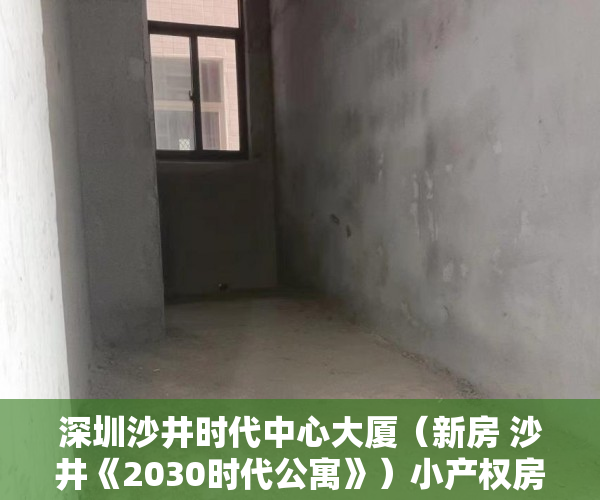 深圳沙井时代中心大厦（新房 沙井《2030时代公寓》）小产权房付款后多久可以装修，