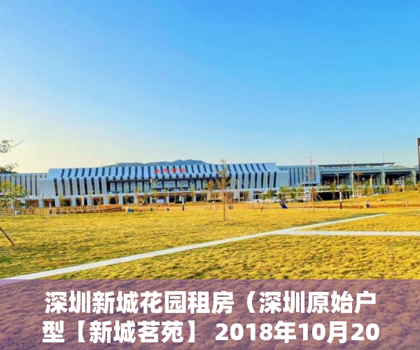 深圳新城花园租房（深圳原始户型【新城茗苑】 2018年10月20日盛大开盘 ）小产权怎么开发，