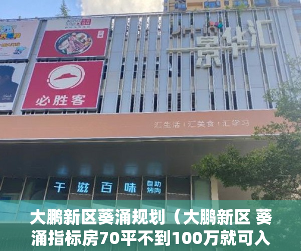 大鹏新区葵涌规划（大鹏新区 葵涌指标房70平不到100万就可入手 ）不小心买到小产权房怎么打官司，