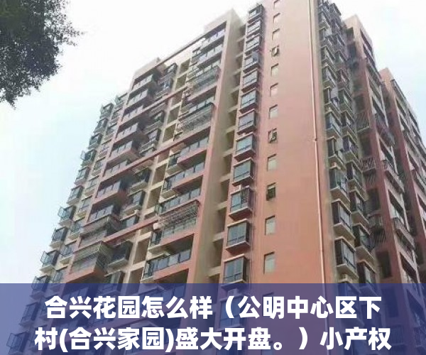合兴花园怎么样（公明中心区下村(合兴家园)盛大开盘。）小产权房屋怎么变现，