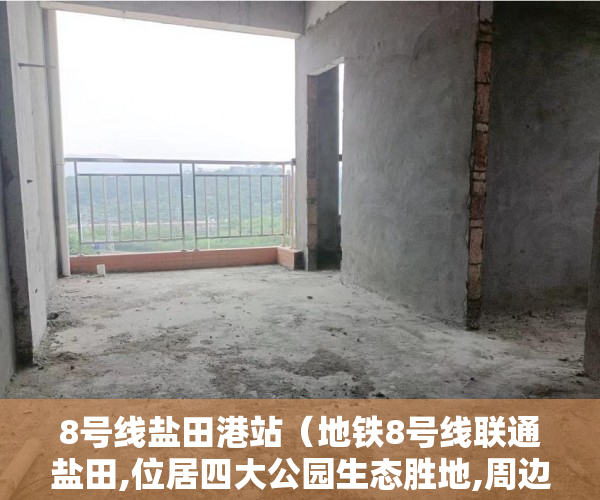 8号线盐田港站（地铁8号线联通盐田,位居四大公园生态胜地,周边教育氛围 ）小产权一般能使用多久，