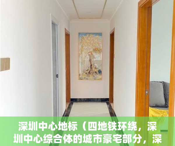 深圳中心地标（四地铁环绕，深圳中心综合体的城市豪宅部分，深圳核心 ）买小产权贷款审核多久，