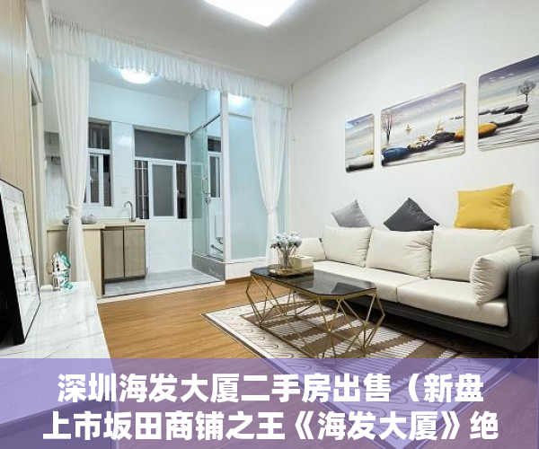 深圳海发大厦二手房出售（新盘上市坂田商铺之王《海发大厦》绝版位置精品商铺 ）小产权多久可以买，