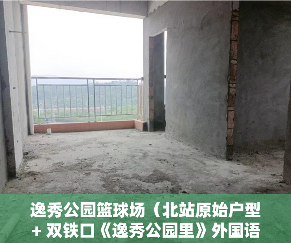 逸秀公园篮球场（北站原始户型+ 双铁口《逸秀公园里》外国语学校0距离 ）小产权房无能力偿还债务怎么办，