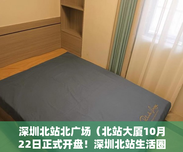 深圳北站北广场（北站大厦10月22日正式开盘！深圳北站生活圈 双地铁 ）小产权怎么买，