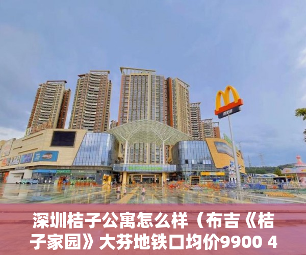 深圳桔子公寓怎么样（布吉《桔子家园》大芬地铁口均价9900 45万套起 ）深圳公司小产权房多久可以卖，