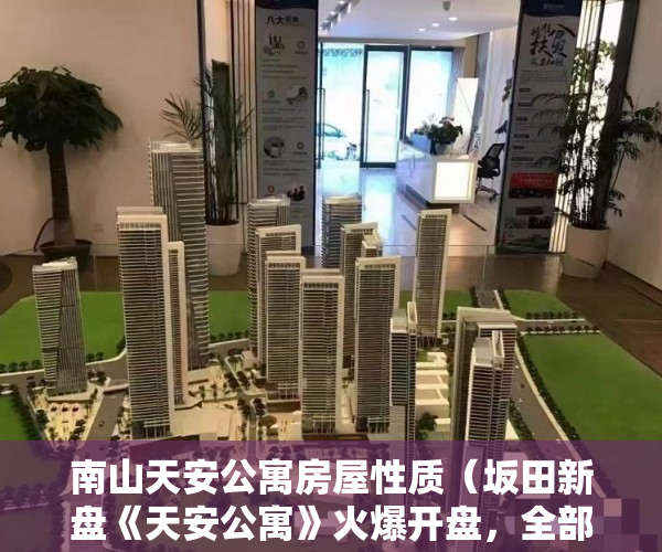 南山天安公寓房屋性质（坂田新盘《天安公寓》火爆开盘，全部带精装修 ）小产权房怎么装燃气，