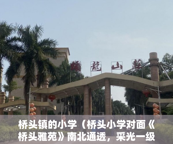 桥头镇的小学（桥头小学对面《桥头雅苑》南北通透，采光一级棒 ）小产权房子过户后多久能卖出，